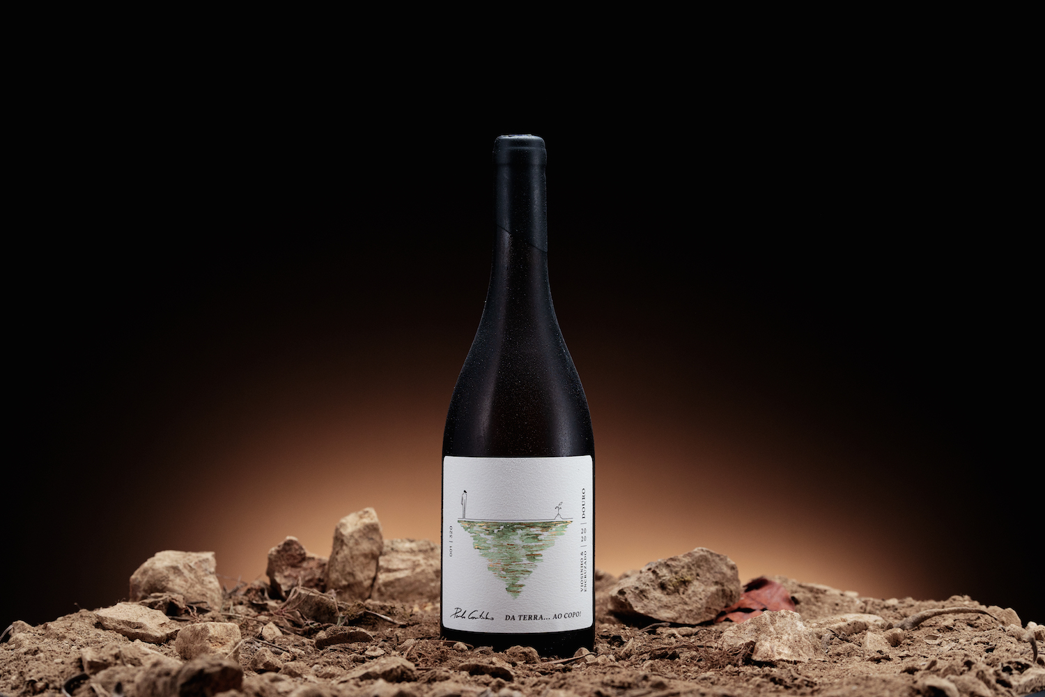 簡約優雅的葡萄酒包裝設計參考(圖3)