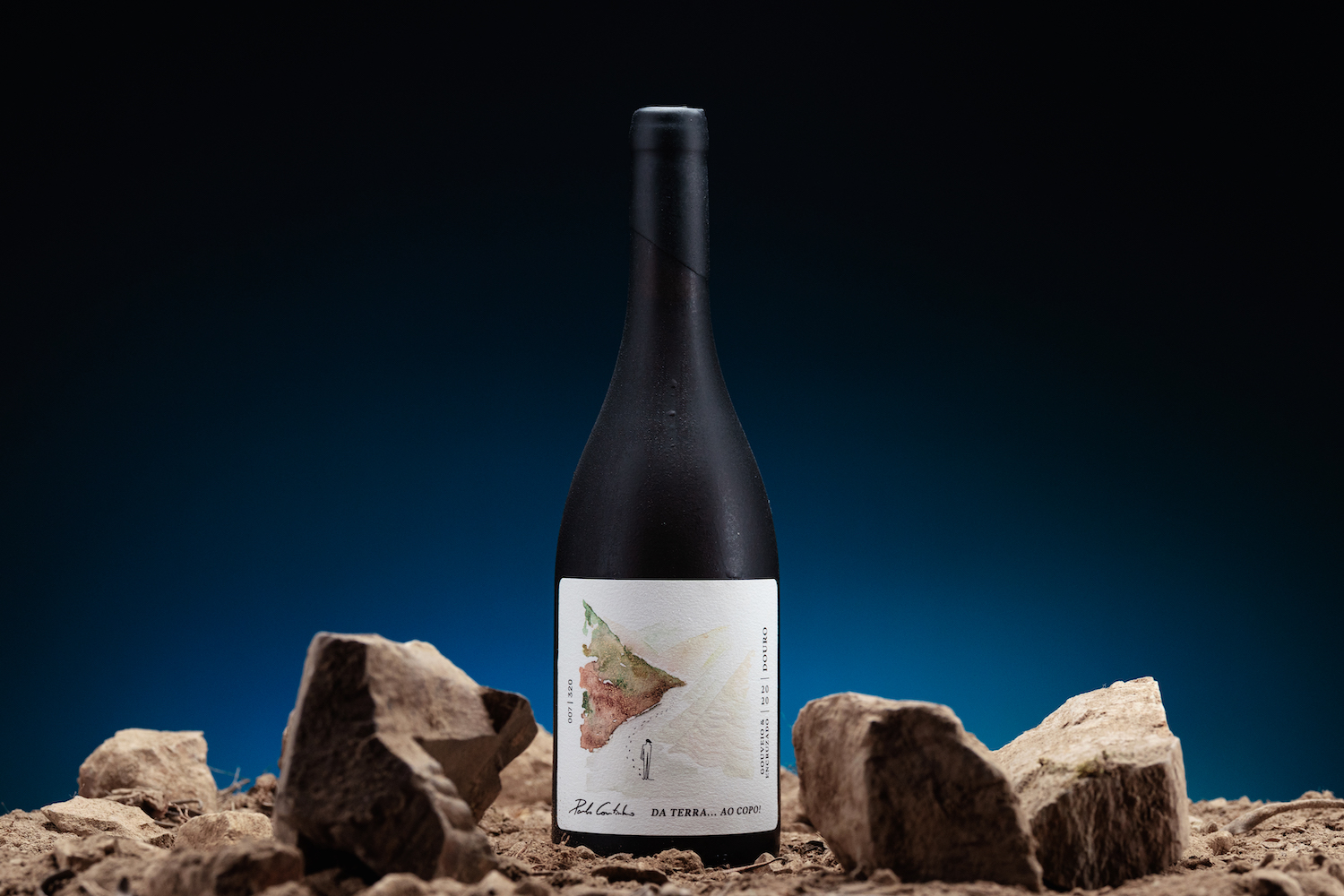 簡約優雅的葡萄酒包裝設計參考(圖4)