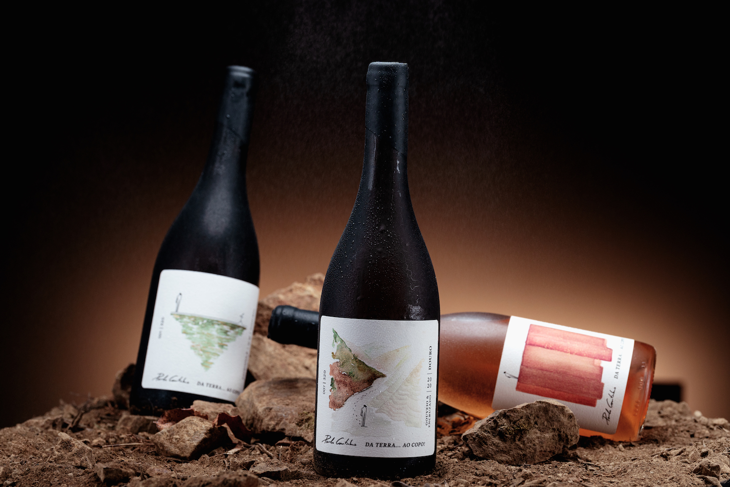 簡約優雅的葡萄酒包裝設計參考(圖5)