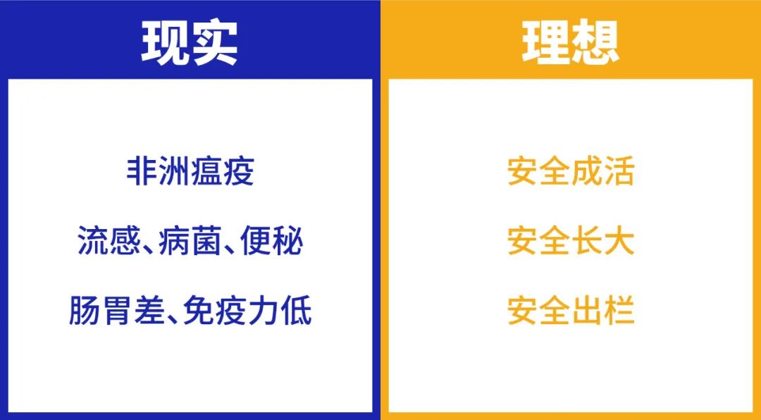 鯤鵬飼料品牌升級為鯤鵬安全飼料進一步強化品牌優勢(圖1) 鯤鵬飼料品牌升級為鯤鵬安全飼料進一步強化品牌優勢(圖1)