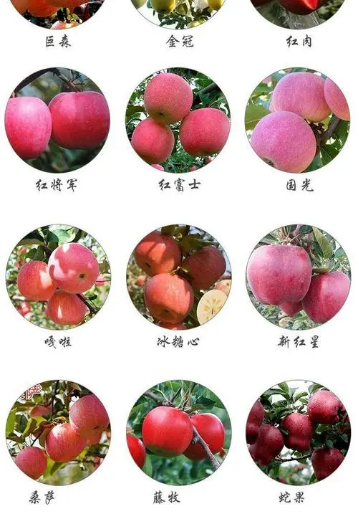 張正:揭開品牌賣貨的核心秘密(圖7) 四喜:揭開品牌賣貨的核心秘密(圖6)