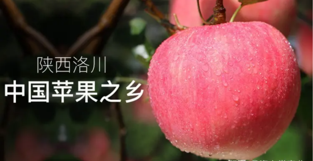 張正:揭開品牌賣貨的核心秘密(圖17) 四喜:揭開品牌賣貨的核心秘密(圖16)