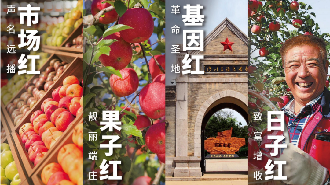 張正:揭開品牌賣貨的核心秘密(圖20) 四喜:揭開品牌賣貨的核心秘密(圖19)