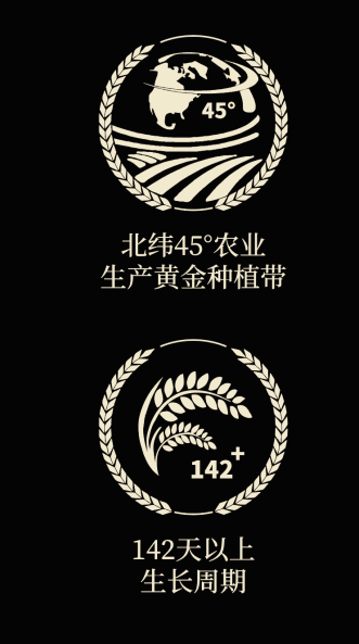 四喜如何通過包裝設計，讓金鶴黑珍珠大米彰顯高端定位(圖4)