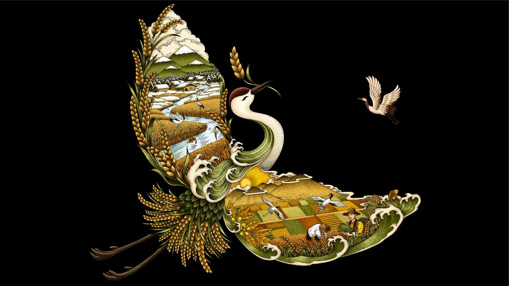 四喜如何通過包裝設計，讓金鶴黑珍珠大米彰顯高端定位(圖6)