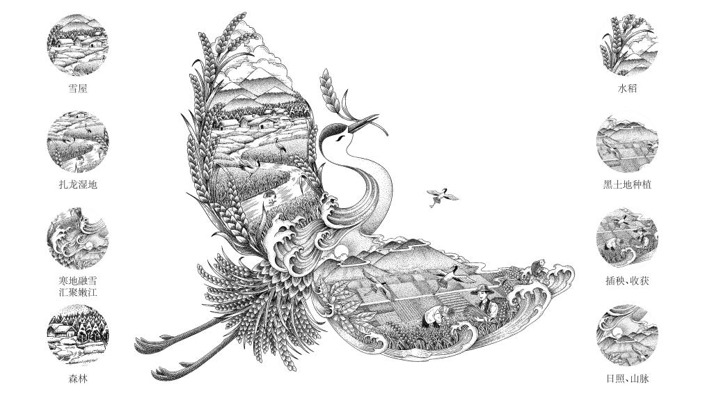 四喜如何通過包裝設計，讓金鶴黑珍珠大米彰顯高端定位(圖5)