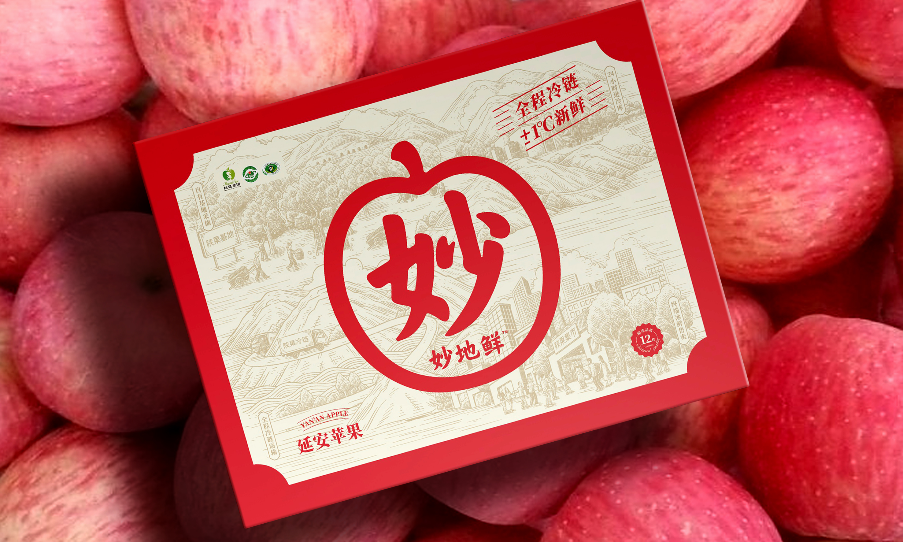 蘋果包裝盒設計作品欣賞(圖1)