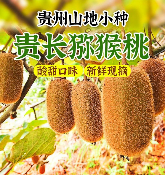 四喜:“包裝五力”要有力量之四——信任力(圖6) 四喜:“包裝五力”要有力量之四——信任力(圖6)