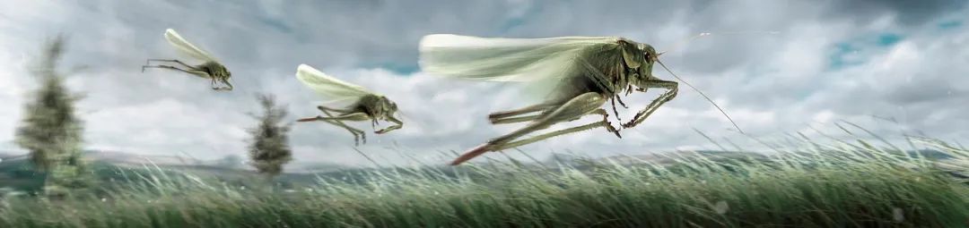 四喜:為什么說(shuō),成功營(yíng)銷(xiāo)都是突破口營(yíng)銷(xiāo)?(圖6) 四喜:為什么說(shuō),成功營(yíng)銷(xiāo)都是突破口營(yíng)銷(xiāo)?(圖6)