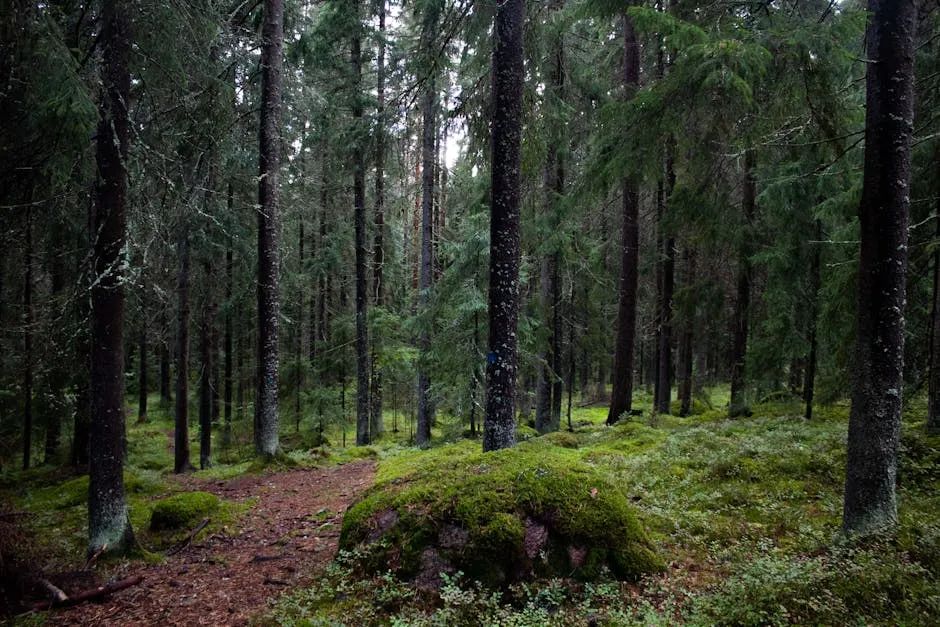 四喜：你觸摸到天花板了嗎？(圖2)