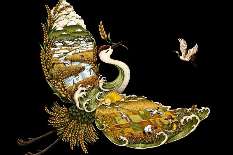 四喜如何通過包裝設計，讓金鶴黑珍珠大米彰顯高端定位