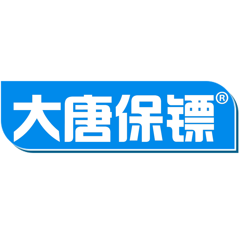 大唐保鏢品牌logo設計欣賞與分析(圖1)