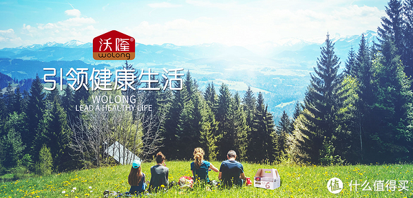 沃隆品牌故事-logo設計欣賞(圖1)