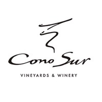 柯諾蘇品牌故事-logo設計分析(圖1)