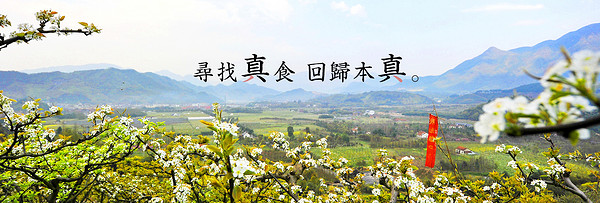 真食約定品牌故事-logo設(shè)計分析(圖2) 真食約定品牌故事-logo設(shè)計分析(圖2)