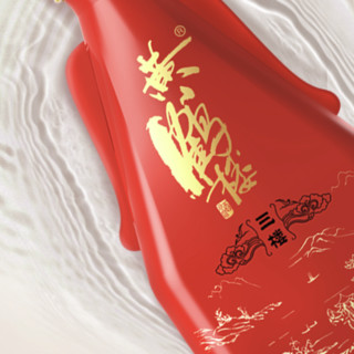 創(chuàng)意酒包裝設(shè)計三樓濃香型白酒單瓶裝產(chǎn)品包裝設(shè)計欣賞(圖6)