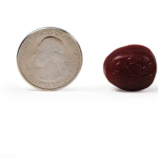 創意產品包裝設計旭福其他營養包裝設計欣賞(圖3)