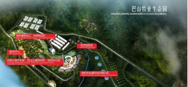 巴山土豬肉 巴山土豬品牌logo與食品包裝設計欣賞(圖3)