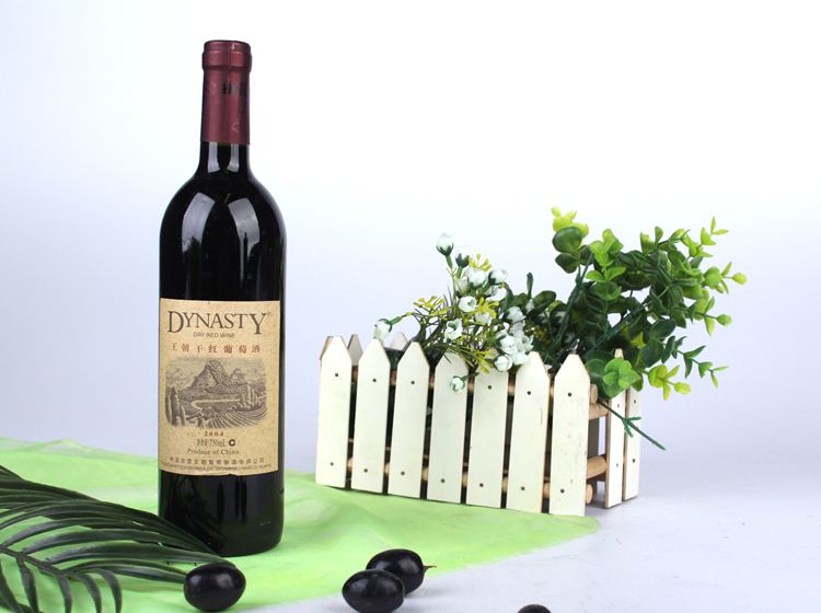 王朝Dynasty品牌logo與食品包裝設計欣賞(圖3)