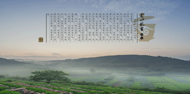 蒙山龍霧食品包裝設計欣賞(圖2)