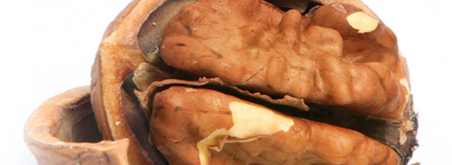 山之嬌食品包裝設(shè)計(jì)欣賞(圖2)