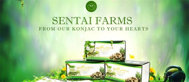 森態食品包裝設計欣賞(圖3)