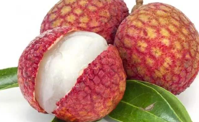 果之友食品包裝設計欣賞(圖3)