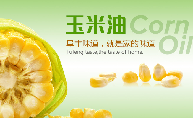 阜豐食品包裝設計欣賞(圖3)