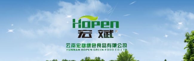 Hopen宏斌食品包裝設計欣賞(圖2)
