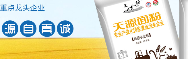 天源面粉 Tianyuan天源食品包裝設(shè)計(jì)欣賞(圖3)