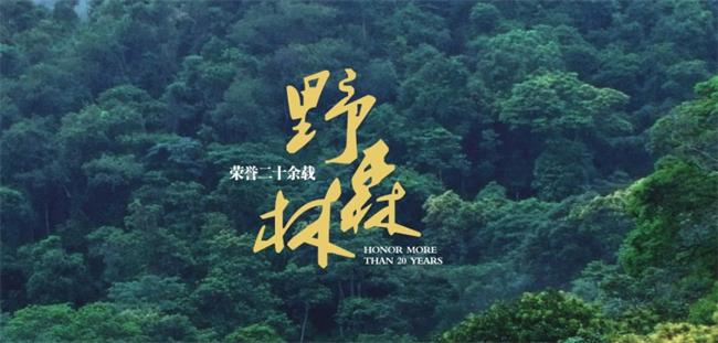 野森林食品包裝設(shè)計欣賞(圖3)